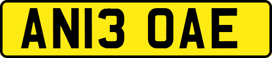 AN13OAE