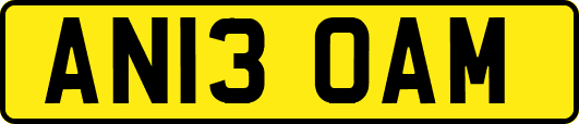 AN13OAM
