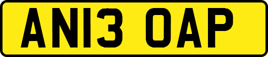 AN13OAP