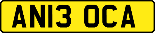 AN13OCA