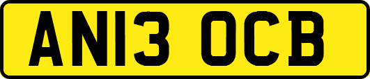 AN13OCB