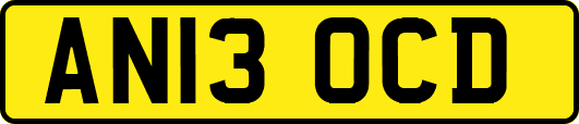 AN13OCD
