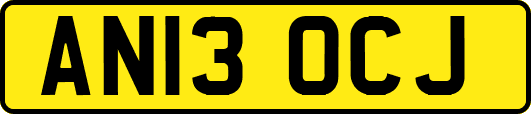 AN13OCJ
