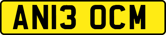 AN13OCM