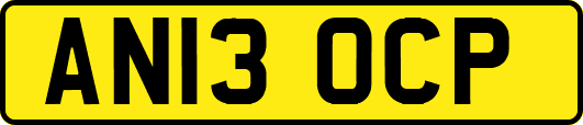 AN13OCP