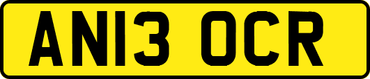 AN13OCR