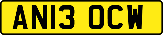 AN13OCW