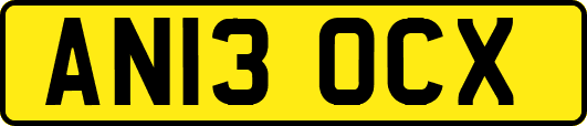AN13OCX