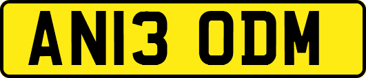 AN13ODM