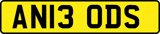 AN13ODS