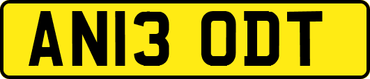 AN13ODT