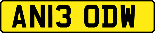AN13ODW