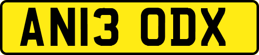 AN13ODX