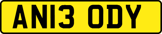 AN13ODY