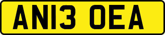 AN13OEA