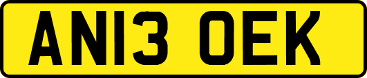 AN13OEK