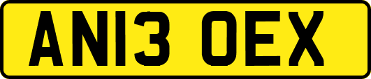 AN13OEX