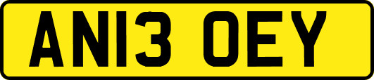 AN13OEY