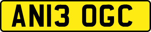 AN13OGC