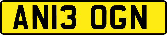 AN13OGN