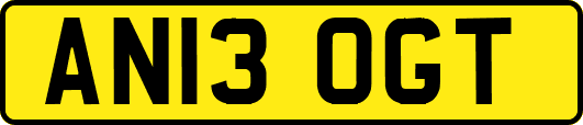 AN13OGT
