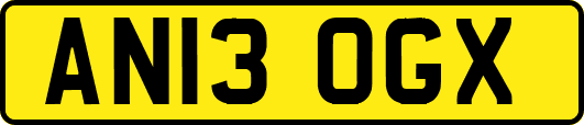 AN13OGX