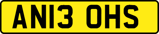 AN13OHS