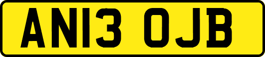 AN13OJB