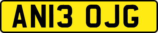AN13OJG