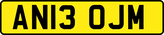 AN13OJM