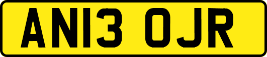 AN13OJR