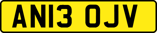 AN13OJV