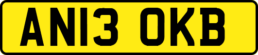AN13OKB