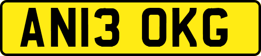 AN13OKG