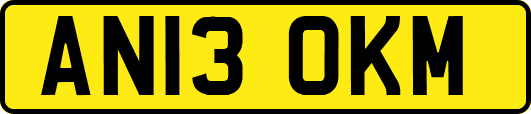 AN13OKM