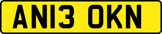 AN13OKN