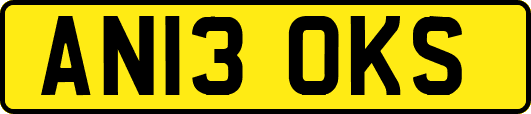 AN13OKS