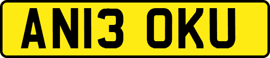 AN13OKU