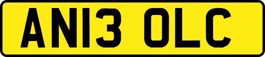 AN13OLC