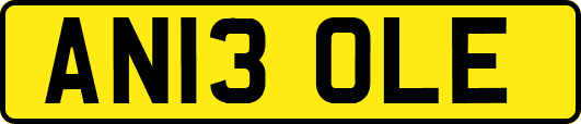 AN13OLE