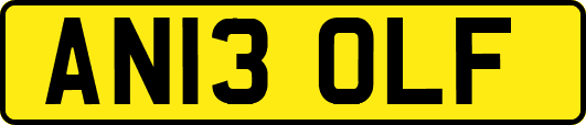 AN13OLF