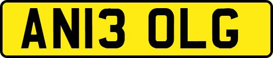 AN13OLG
