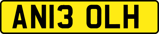 AN13OLH