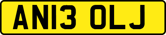 AN13OLJ