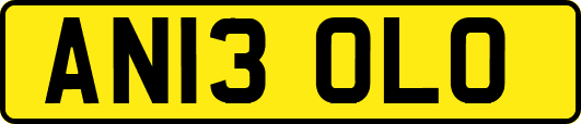 AN13OLO