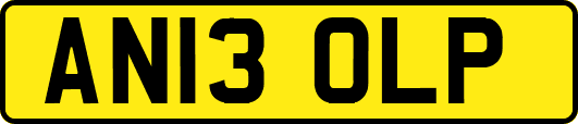 AN13OLP