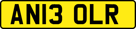 AN13OLR