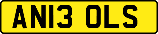 AN13OLS