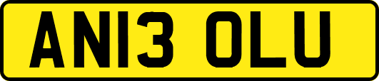 AN13OLU
