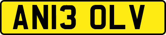 AN13OLV
